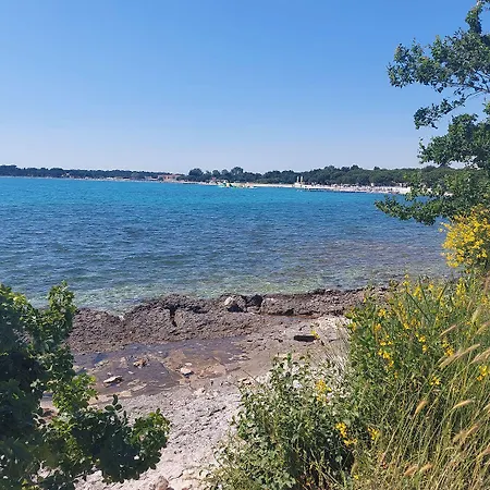 Mit Aussenpool, Klimaanlage, Wlan Und Grillanlage * Pula